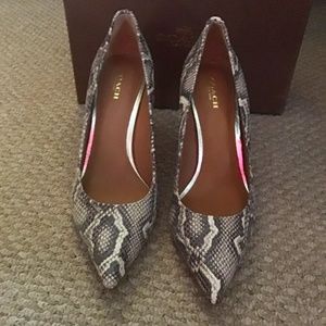 New Coach Snakeskin Print Black White Stilletto Heels New In Box 9.5B